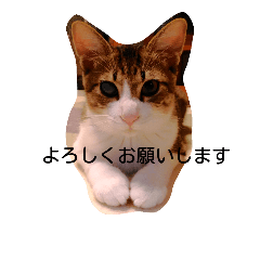 [LINEスタンプ] チョビとむぎ