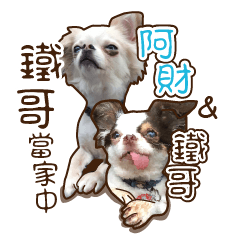 [LINEスタンプ] Live-Action Fe