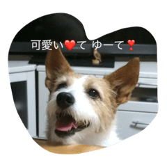 [LINEスタンプ] 心さんのお気持ち2