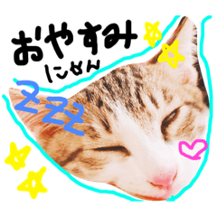 [LINEスタンプ] れっちゃんfamily