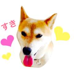 [LINEスタンプ] サクラの使える会話スタンプ♪第2弾です
