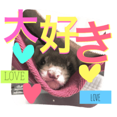 [LINEスタンプ] モカLife