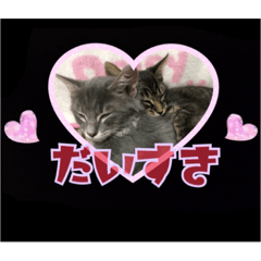 [LINEスタンプ] sweet にゃんず