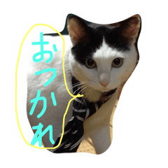[LINEスタンプ] うちのネコりん