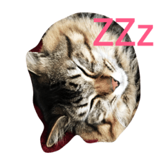 [LINEスタンプ] はーちゃんとちび