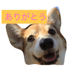 [LINEスタンプ] 甘えんぼリリくん