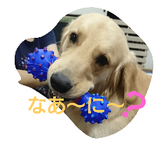 [LINEスタンプ] fuuuuuta