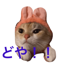 [LINEスタンプ] 気まぐれハニー
