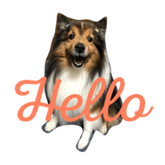 [LINEスタンプ] shelty