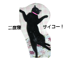[LINEスタンプ] my cats 2 <3