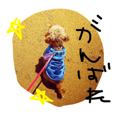 [LINEスタンプ] 家族##