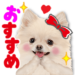 [LINEスタンプ] かわいい犬たち♡ガーリー系♡敬語スタンプの画像（メイン）