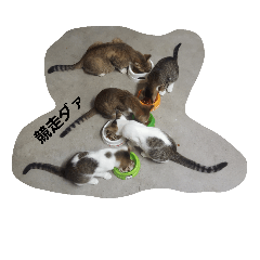 [LINEスタンプ] 母猫 チキン