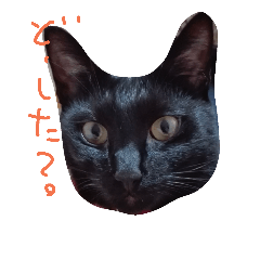 [LINEスタンプ] 黒猫ゴンちゃん