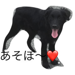 [LINEスタンプ] ふう大好き❤