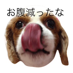 [LINEスタンプ] 八郎