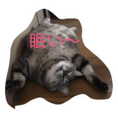[LINEスタンプ] くろとまろんとくぅ