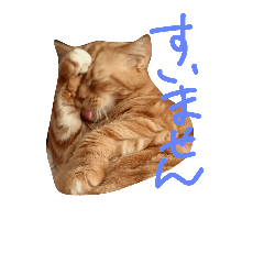 [LINEスタンプ] ふぁびゅらすのにゃんず