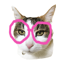 [LINEスタンプ] ボンジュール猫の画像（メイン）