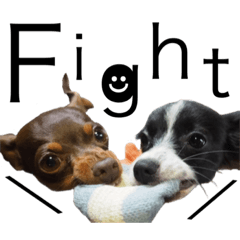 [LINEスタンプ] 神谷犬②
