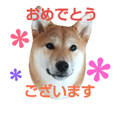 [LINEスタンプ] やんちゃ そらくん 2