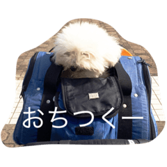 [LINEスタンプ] アンディ -鞄好き過ぎる-