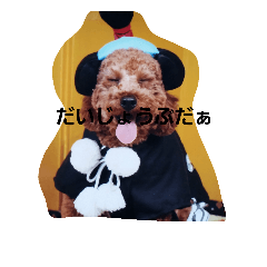 [LINEスタンプ] Alright