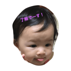 [LINEスタンプ] いろはの日常