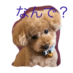 [LINEスタンプ] トイくん