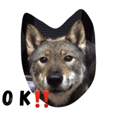 [LINEスタンプ] うるちゃん＆