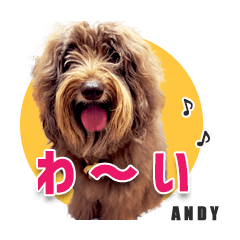[LINEスタンプ] おしゃべり茶ムク犬ANDY