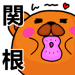 [LINEスタンプ] 関根より愛を込めて（名前スタンプ）