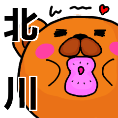 [LINEスタンプ] 北川より愛を込めて（名前スタンプ）