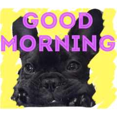 [LINEスタンプ] 犬好きふれぶるスタンプ