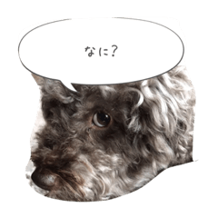 [LINEスタンプ] bahha