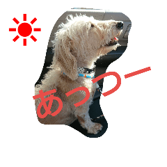 [LINEスタンプ] ミックス モカ