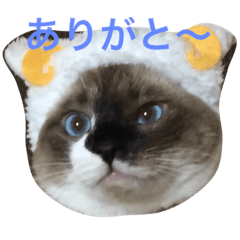 [LINEスタンプ] ラテまるにゃんこ2