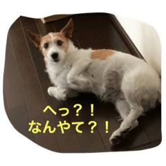 [LINEスタンプ] 心さんのお気持ち