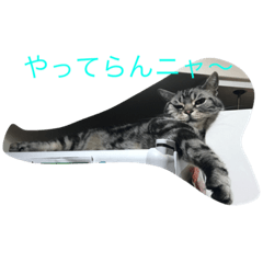 [LINEスタンプ] cattttt！