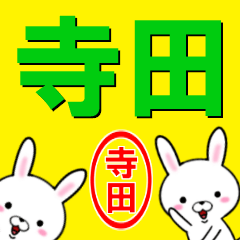 [LINEスタンプ] 超★寺田(てらだ・てらた)なウサギ