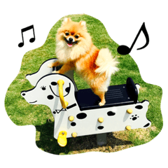 [LINEスタンプ] ニコ ポメラニアン