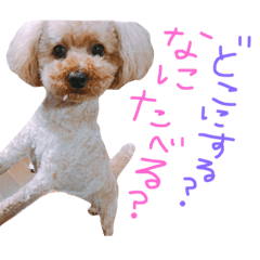 [LINEスタンプ] choco life