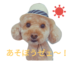 [LINEスタンプ] 仔犬のロンド