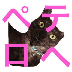 [LINEスタンプ] さんびきのねこ