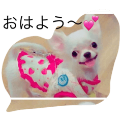 [LINEスタンプ] 犬's