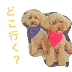 [LINEスタンプ] チョッパーとチョコの日常