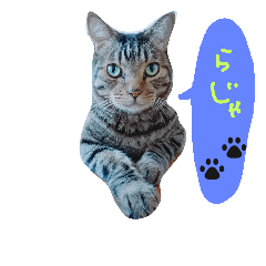 [LINEスタンプ] うちのななちゃん