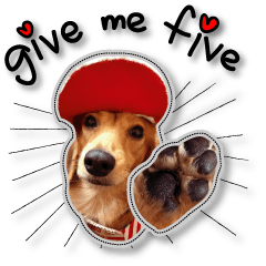 [LINEスタンプ] Dachshund GaGa part8