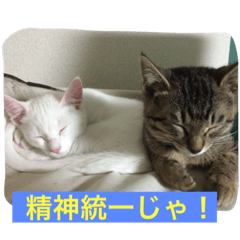 [LINEスタンプ] 我が家の愉快な家族です