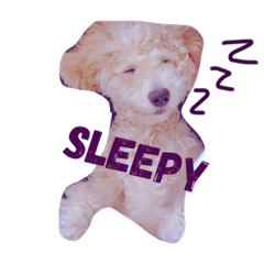 [LINEスタンプ] maximum new